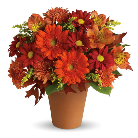 Golden Glow Bouquet - Giving Blooms
