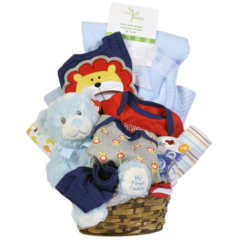 Gift Basket - Baby Boy - Giving Blooms