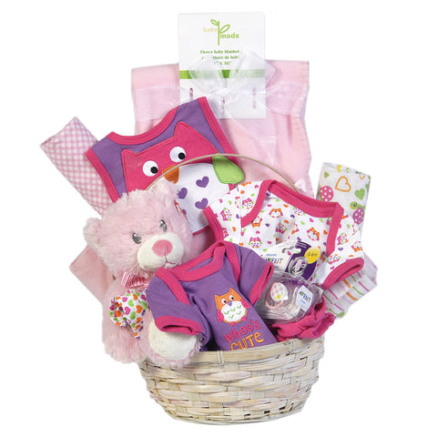 Gift Basket - Baby Girl - Giving Blooms
