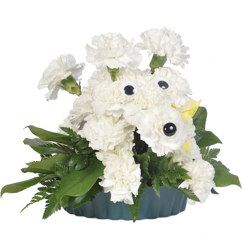Pouncing Poodle Bouquet - Giving Blooms