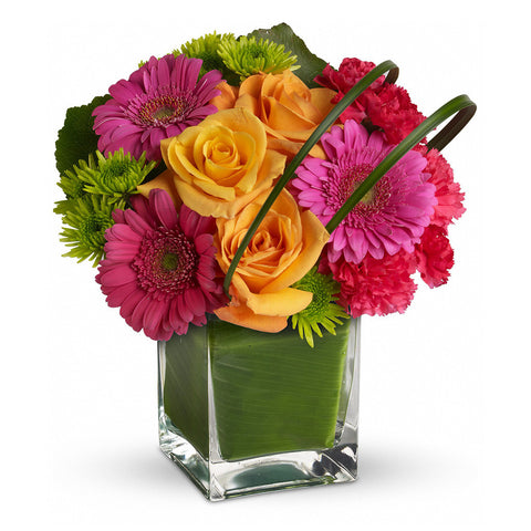 Party Girl Bouquet - Giving Blooms